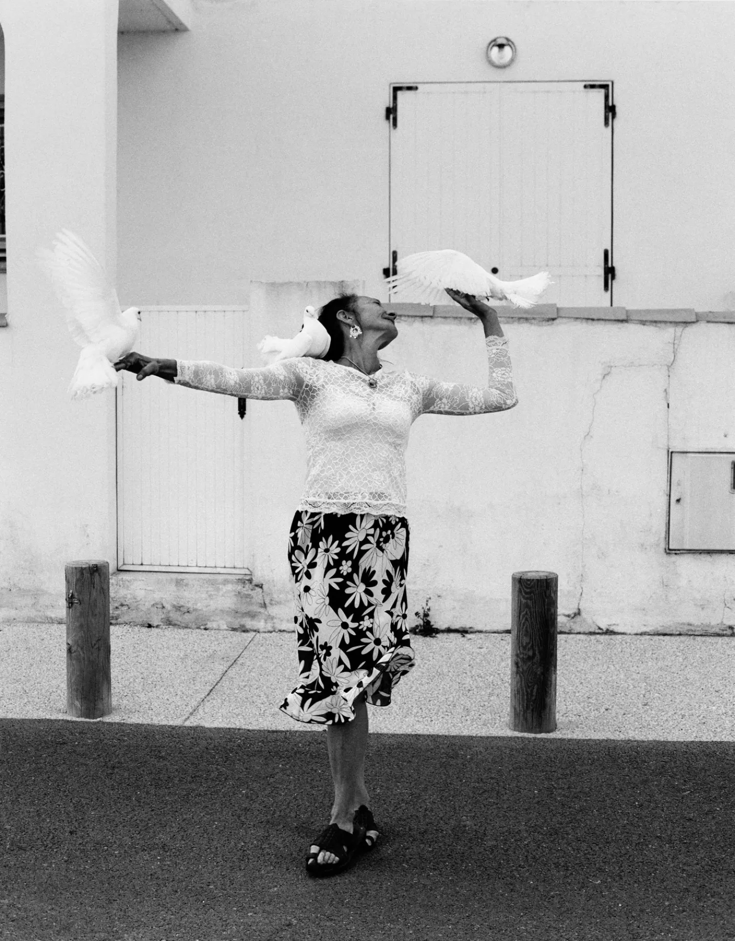 A FLAMENCO CATHARSIS MAGAZINE